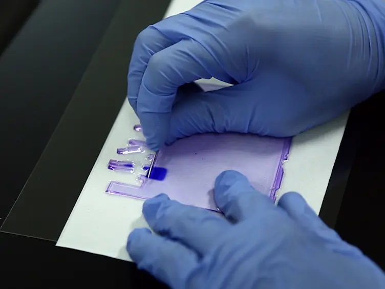 Isolation of Specific Genomic Regions and Identification of Associated Molecules by enChIP