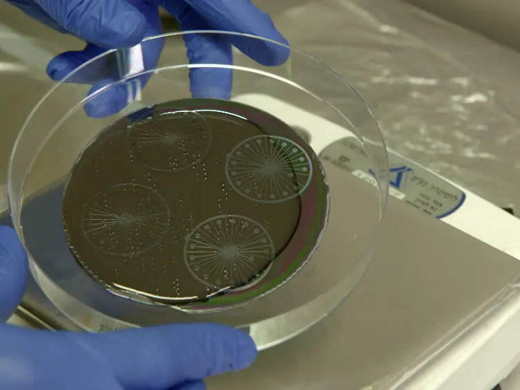 A Microfluidic Model of Biomimetically Breathing Pulmonary Acinar Airways