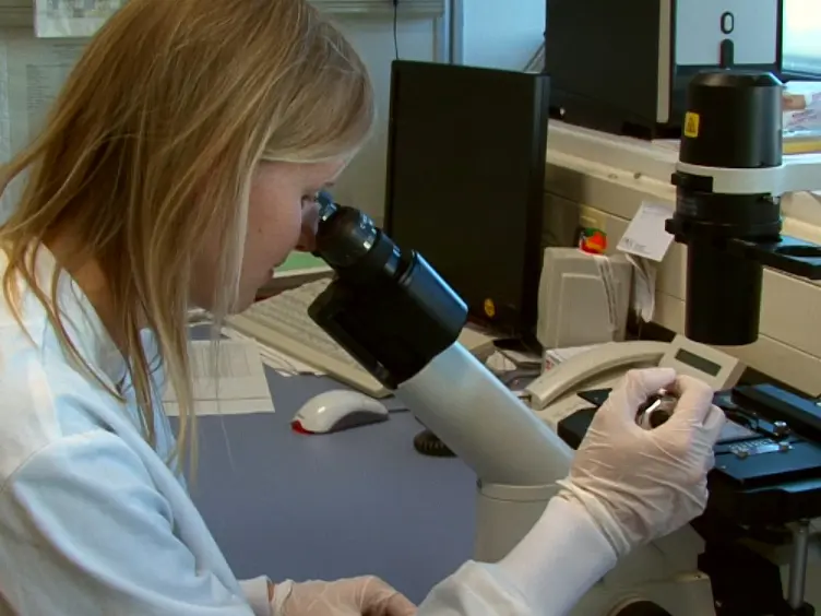A Quick and Efficient Method for the Purification of Endoderm Cells Generated from Human Embryonic Stem Cells