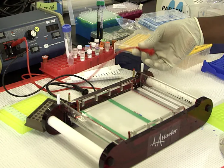 Analysis of LINE-1 Retrotransposition at the Single Nucleus Level