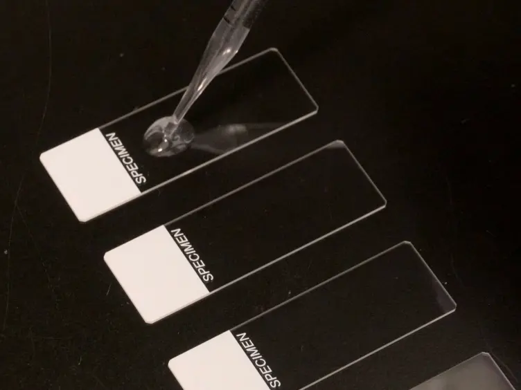 Qualitative and Quantitative Assays for Detection and Characterization of Protein Antimicrobials