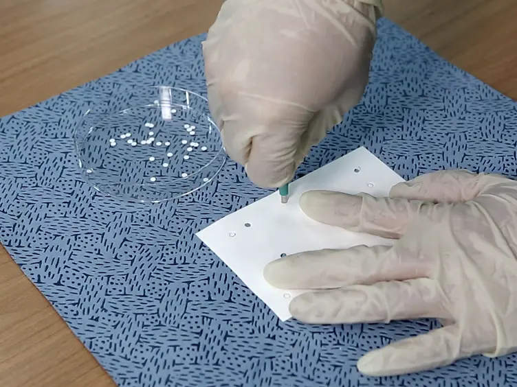 Frequency Mixing Magnetic Detection Scanner for Imaging Magnetic Particles in Planar Samples