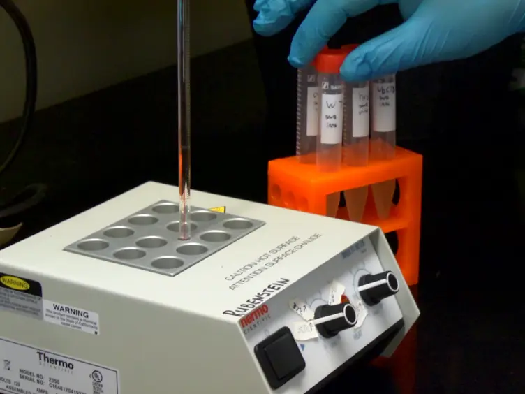 Cycloheximide Chase Analysis of Protein Degradation in <em>Saccharomyces cerevisiae</em>