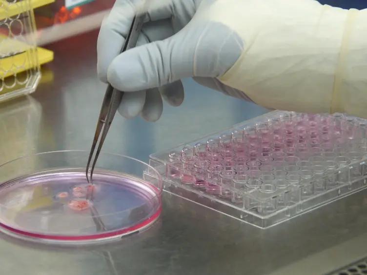 Stem-cell Based Engineered Immunity Against HIV Infection in the Humanized Mouse Model