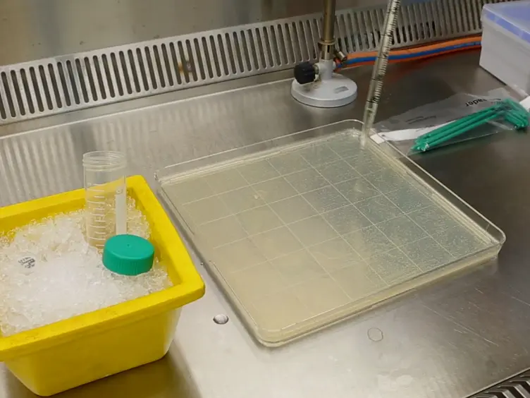 Multi-enzyme Screening Using a High-throughput Genetic Enzyme Screening System