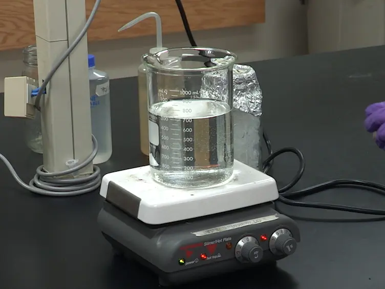 Rapid Verification of Terminators Using the pGR-Blue Plasmid and Golden Gate Assembly
