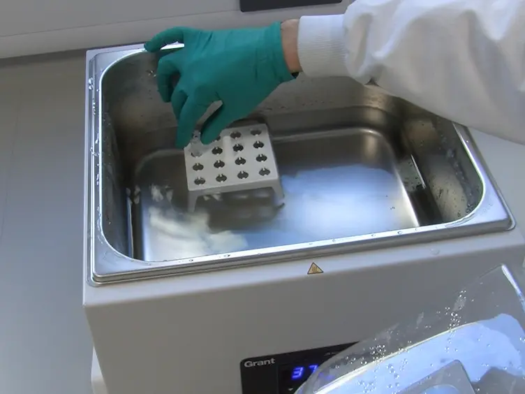 Simultaneous DNA-RNA Extraction from Coastal Sediments and Quantification of 16S rRNA Genes and Transcripts by Real-time PCR