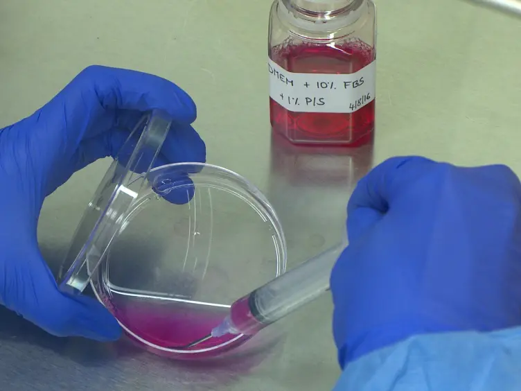 Optimal Lentivirus Production and Cell Culture Conditions Necessary to Successfully Transduce Primary Human Bronchial Epithelial Cells