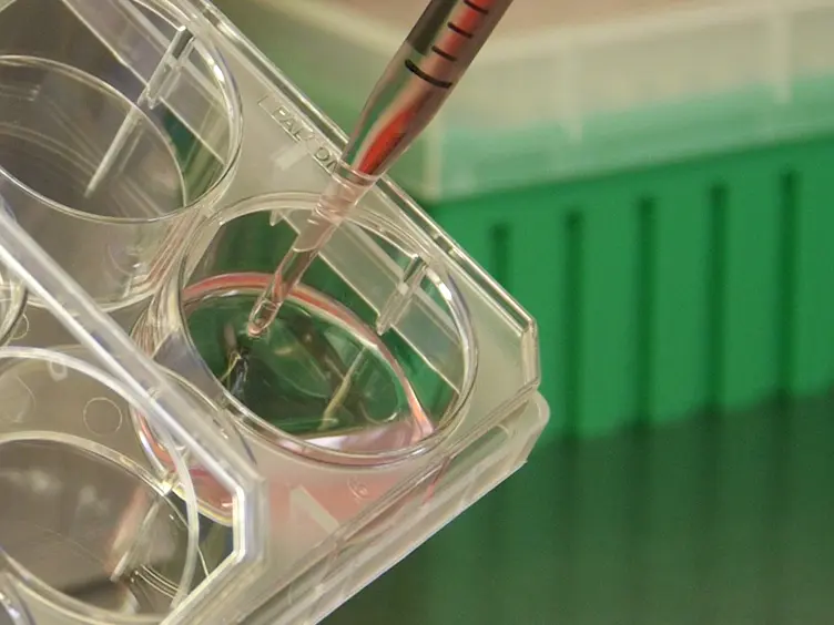 Kinetic Measurement and Real Time Visualization of Somatic Reprogramming