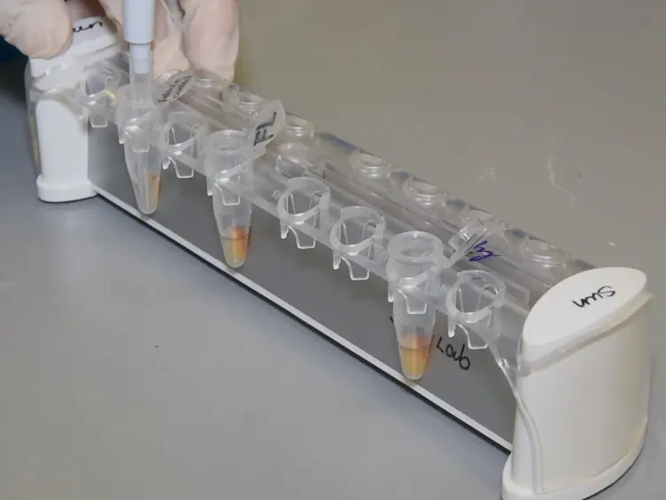 Detection of RNA-binding Proteins by <em>In Vitro</em> RNA Pull-down in Adipocyte Culture