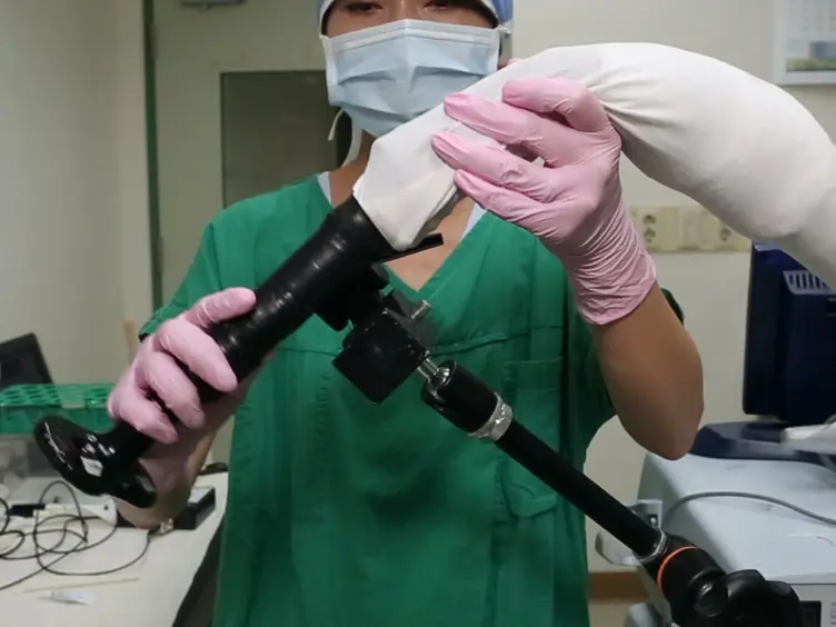 Repetitive Transcranial Magnetic Stimulation to the Unilateral Hemisphere of Rat Brain