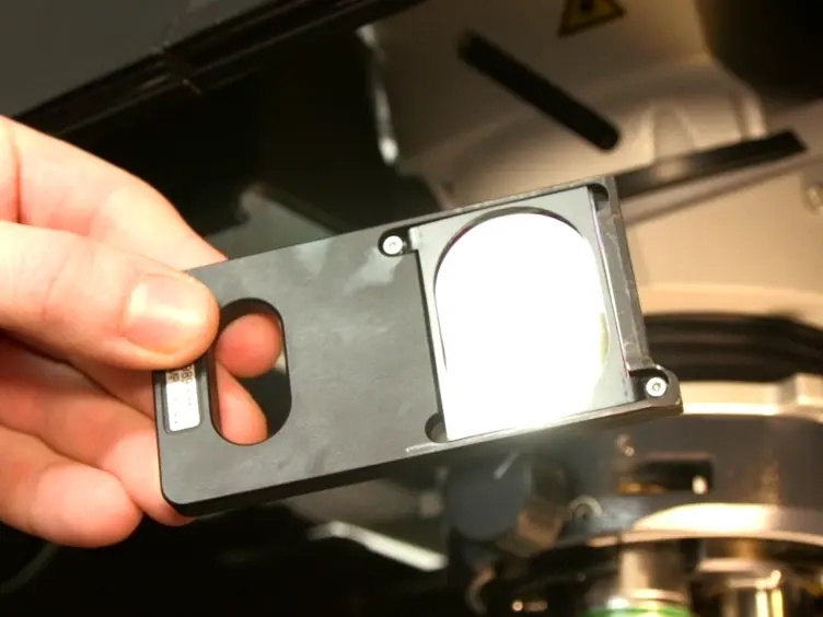 Implementation of a Coherent Anti-Stokes Raman Scattering (CARS) System on a Ti:Sapphire and OPO Laser Based Standard Laser Scanning Microscope