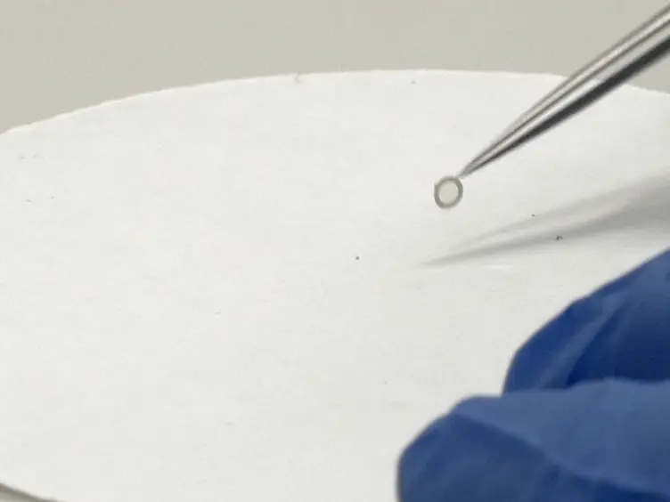Correlative Light- and Electron Microscopy Using Quantum Dot Nanoparticles