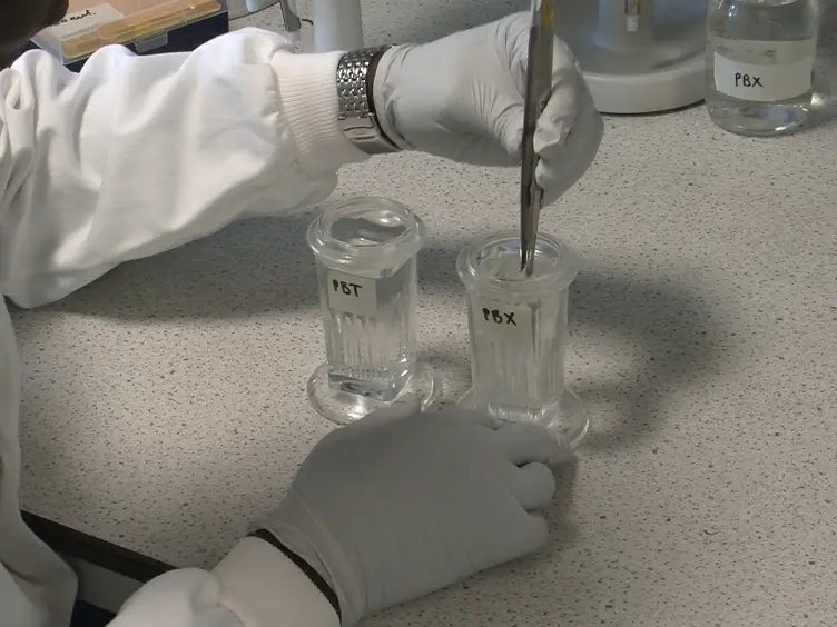 Detection of Modified Forms of Cytosine Using Sensitive Immunohistochemistry