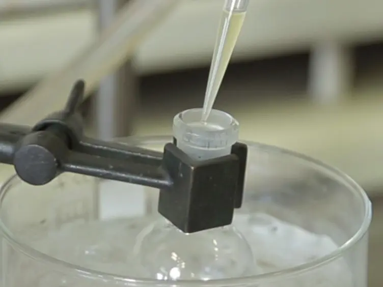 The Synthesis of RGD-functionalized Hydrogels as a Tool for Therapeutic Applications