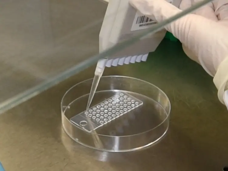 Enumeration of Neural Stem Cells Using Clonal Assays