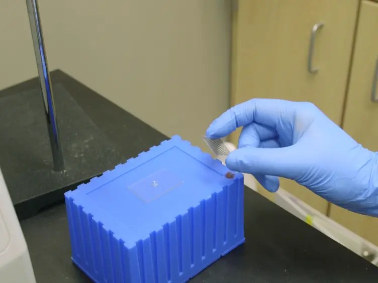 Light-mediated Formation and Patterning of Hydrogels for Cell Culture Applications