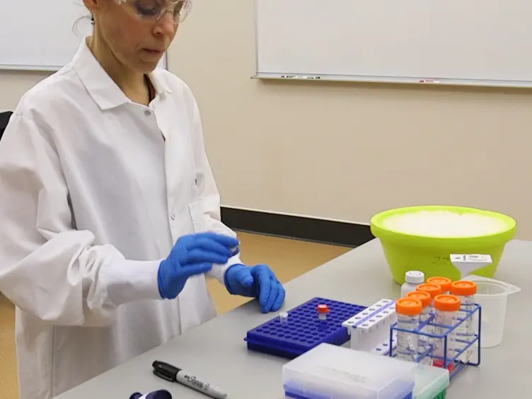 Antibody Labeling with Fluorescent Dyes Using Magnetic Protein A and Protein G Beads
