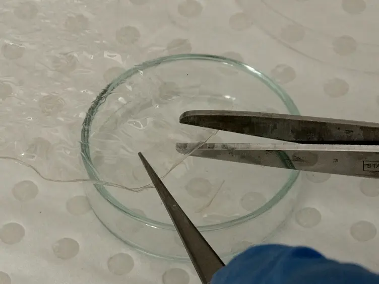 Capillary Electrophoresis to Monitor Peptide Grafting onto Chitosan Films in Real Time
