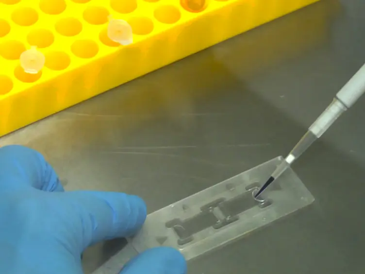 Measurement of <em>In Vitro</em> Integration Activity of HIV-1 Preintegration Complexes