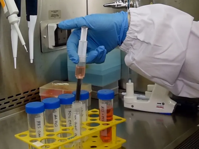 Isolation and Activation of Murine Lymphocytes