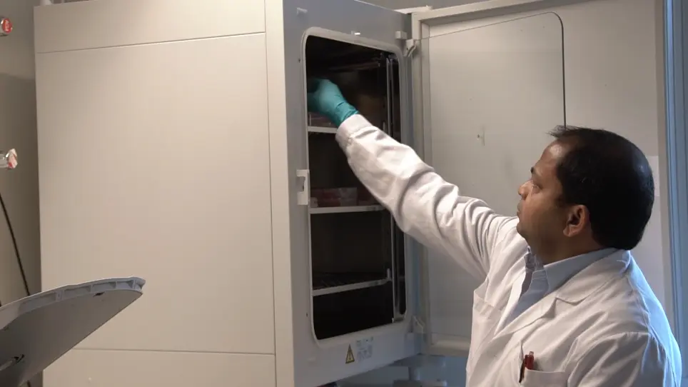 Assays for Studying the Role of Vitronectin in Bacterial Adhesion and Serum Resistance