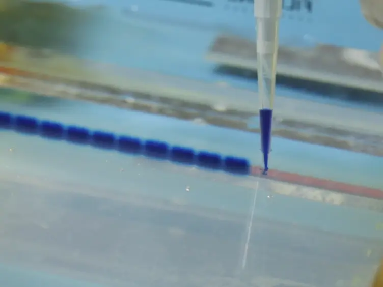 A Method for Measuring RNA <em>N</em><sup>6</sup>-methyladenosine Modifications in Cells and Tissues
