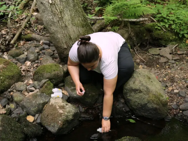 Understanding Dissolved Organic Matter Biogeochemistry Through <em>In Situ</em> Nutrient Manipulations in Stream Ecosystems