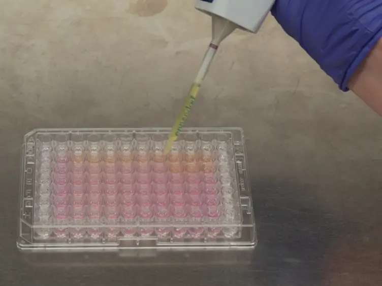 Using RNA-sequencing to Detect Novel Splice Variants Related to Drug Resistance in <em>In Vitro</em> Cancer Models