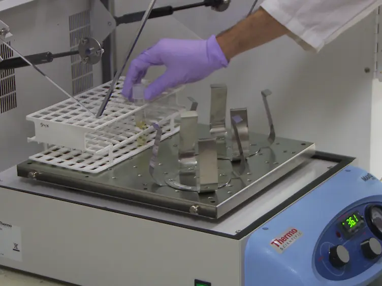 Simple and Efficient Production and Purification of Mouse Myelin Oligodendrocyte Glycoprotein for Experimental Autoimmune Encephalomyelitis Studies