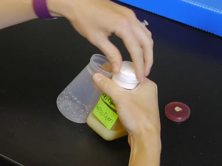 A Buoyancy-based Method of Determining Fat Levels in <em>Drosophila</em>