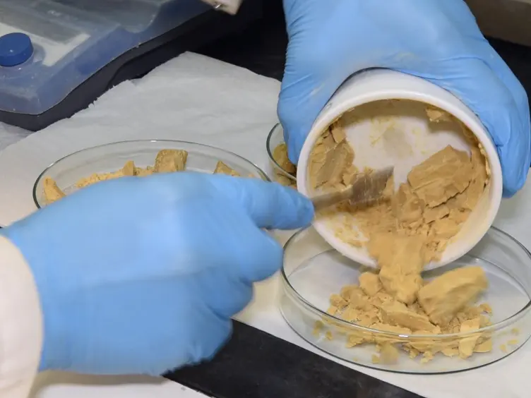 Extraction of Plant-based Capsules for Microencapsulation Applications