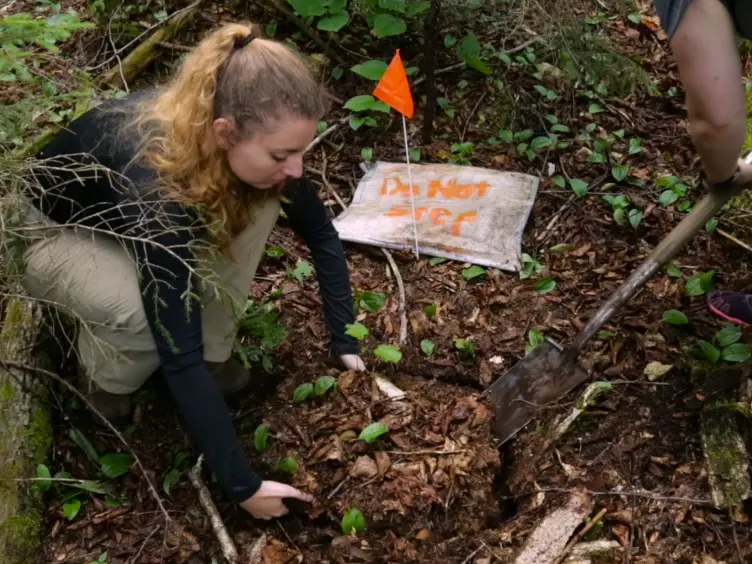Methods of Soil Resampling to Monitor Changes in the Chemical Concentrations of Forest Soils