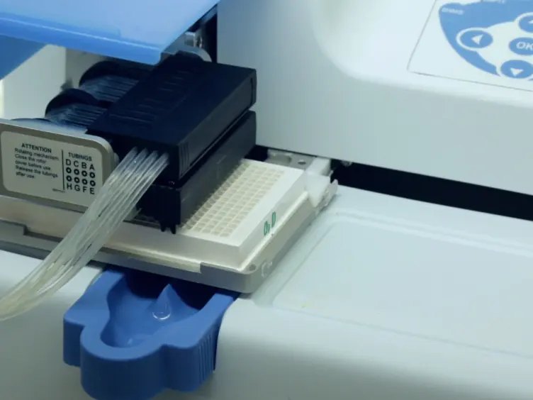 High Throughput, Real-time, Dual-readout Testing of Intracellular Antimicrobial Activity and Eukaryotic Cell Cytotoxicity