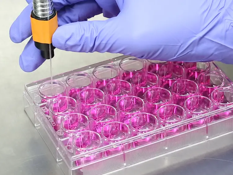 Anticancer Efficacy of Photodynamic Therapy with Lung Cancer-Targeted Nanoparticles