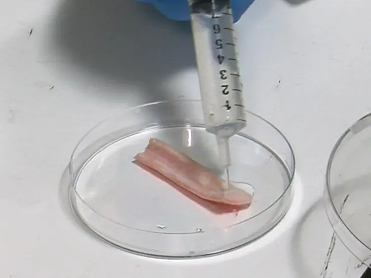 Biomechanical Characterization of Human Soft Tissues Using Indentation and Tensile Testing