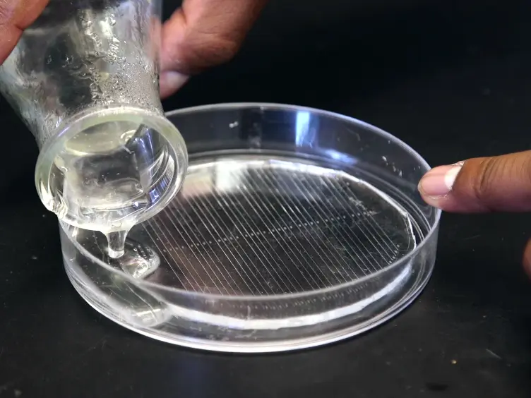 Using Linear Agarose Channels to Study <em>Drosophila</em> Larval Crawling Behavior