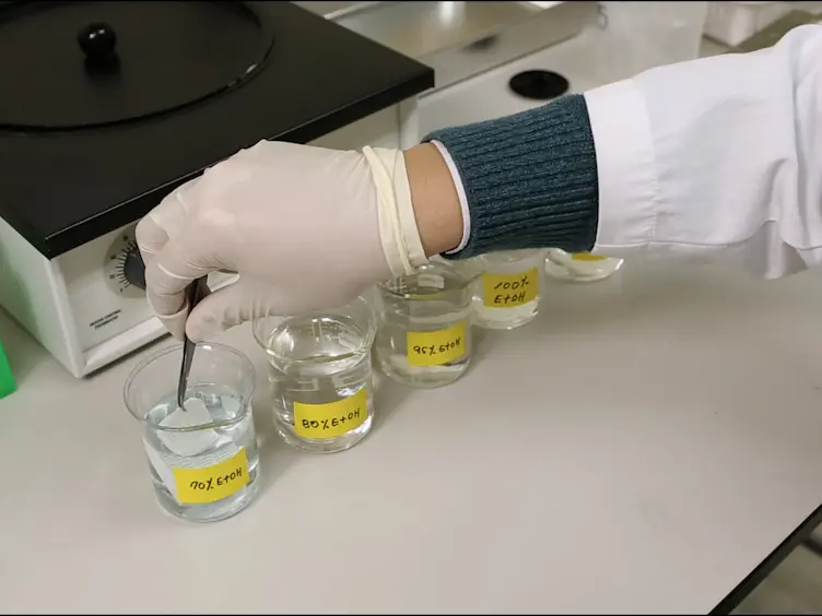 Chondrogenic Differentiation Induction of Adipose-derived Stem Cells by Centrifugal Gravity