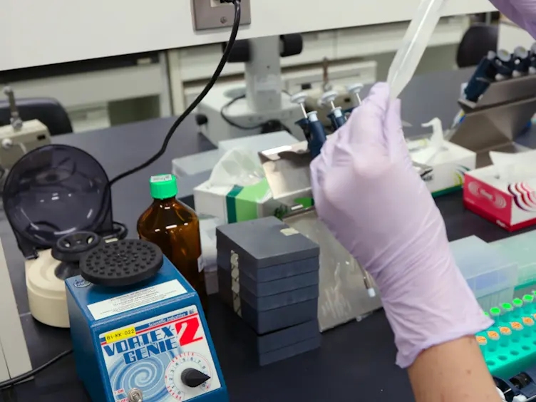 An Efficient Method for the Isolation of Highly Purified RNA from Seeds for Use in Quantitative Transcriptome Analysis