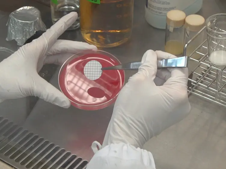 Methodology for the Study of Horizontal Gene Transfer in <em>Staphylococcus aureus</em>