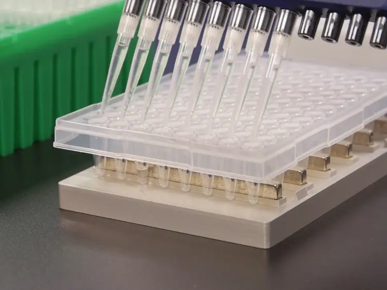 Wild-type Blocking PCR Combined with Direct Sequencing as a Highly Sensitive Method for Detection of Low-Frequency Somatic Mutations