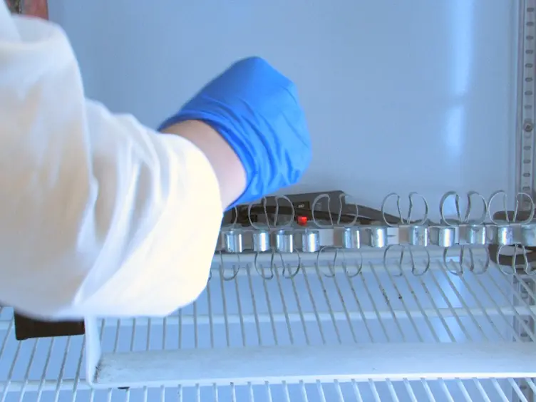 Tandem Affinity Purification of Protein Complexes from Eukaryotic Cells