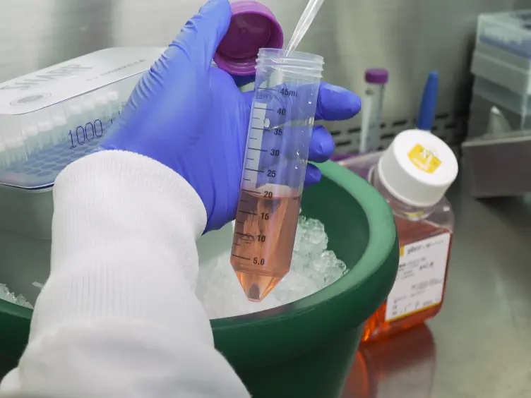 <em>In Vitro</em> Differentiation of Human Pluripotent Stem Cells into Trophoblastic Cells