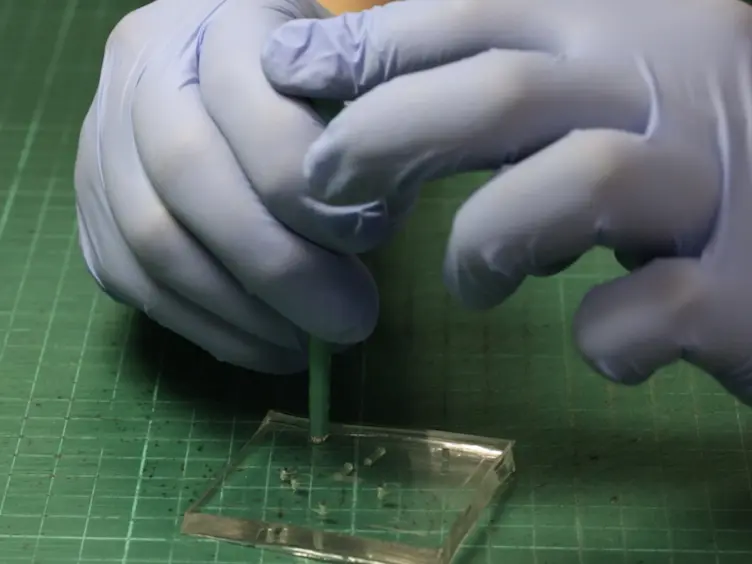 Polydimethylsiloxane-polycarbonate Microfluidic Devices for Cell Migration Studies Under Perpendicular Chemical and Oxygen Gradients