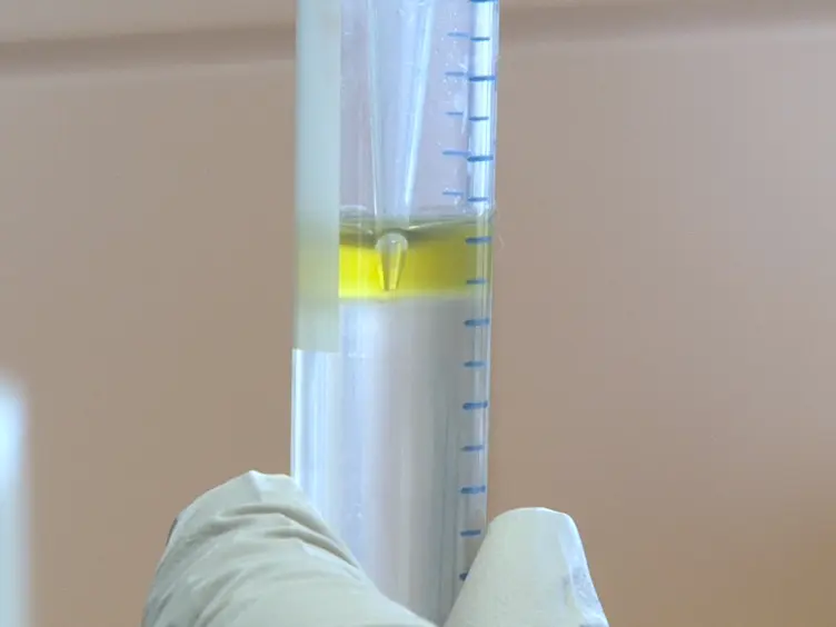 Isolation of Circulating Tumor Cells in an Orthotopic Mouse Model of Colorectal Cancer