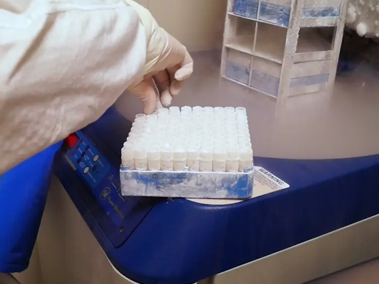 Determination of the Relative Potency of an Anti-TNF Monoclonal Antibody (mAb) by Neutralizing TNF Using an <em>In Vitro </em>Bioanalytical Method