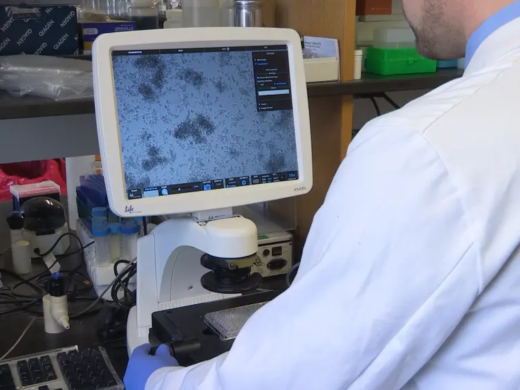 A High-throughput Compatible Assay to Evaluate Drug Efficacy against Macrophage Passaged <em>Mycobacterium tuberculosis</em>