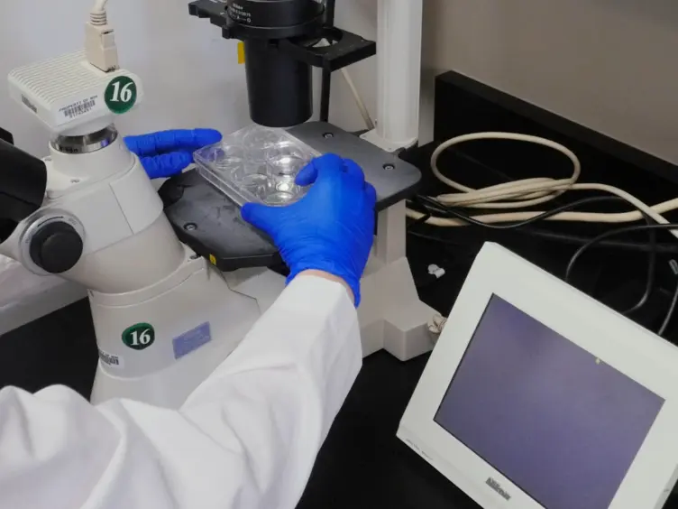 Techniques to Induce and Quantify Cellular Senescence