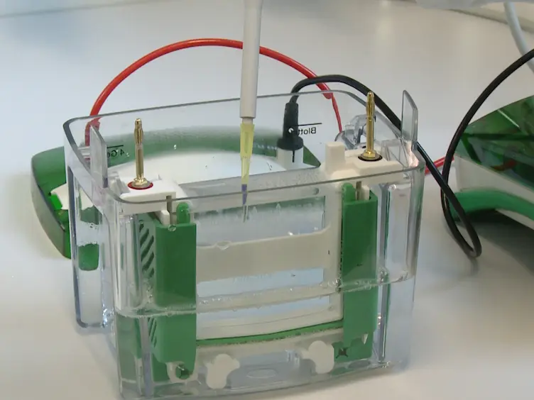 Lipid Droplet Isolation for Quantitative Mass Spectrometry Analysis