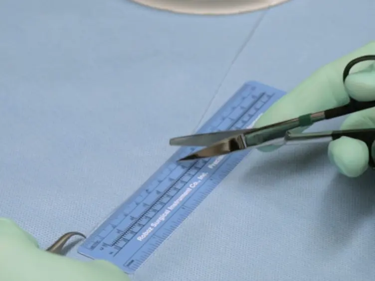 Evaluating the Procedure for Performing Awake Cystometry in a Mouse Model